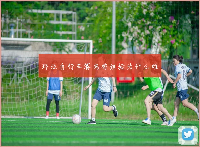 环法自行车赛老将经验为什么难