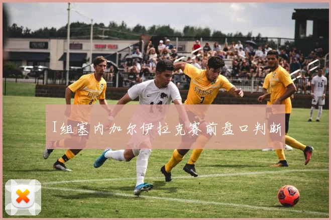 I组塞内加尔伊拉克赛前盘口判断